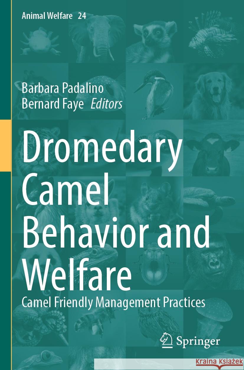 Dromedary Camel Behavior and Welfare  9783031486029 Springer International Publishing - książka