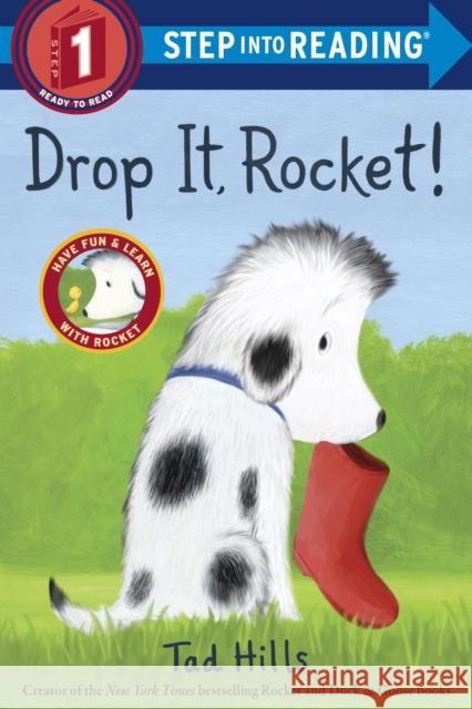 Drop It, Rocket! Tad Hills 9780385372541 Random House Books for Young Readers - książka