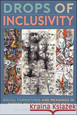 Drops of Inclusivity: Racial Formations and Meanings in Puerto Rican Society, 1898-1965 Denis-Rosario, Milagros 9781438488684 State University of New York Press - książka