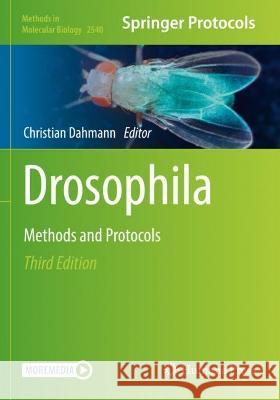 Drosophila  9781071625439 Springer US - książka