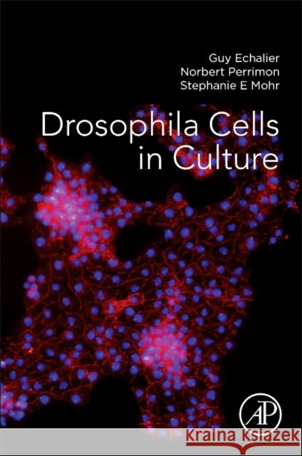 Drosophila Cells in Culture Guy Echalier Norbert Perrimon 9780128094730 Academic Press - książka