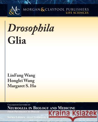 Drosophila Glia Linfang Wang Honglei Wang Margaret S. Ho 9781615047970 Morgan & Claypool - książka