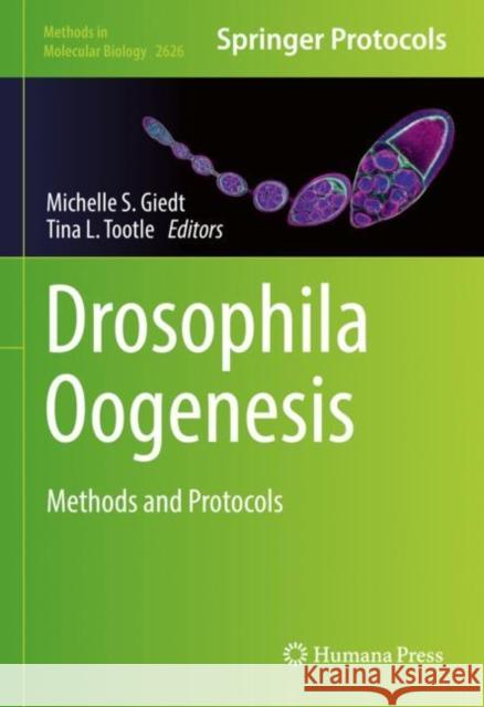 Drosophila Oogenesis: Methods and Protocols Michelle S. Giedt Tina L. Tootle 9781071629697 Humana - książka