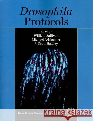 Drosophila Protocols M. Ashburner W 9780879698270 Cold Spring Harbor Laboratory Press - książka