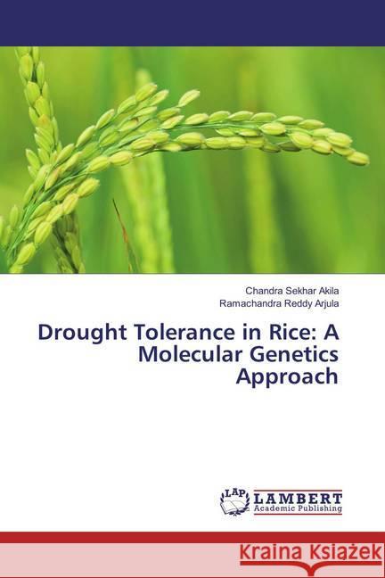 Drought Tolerance in Rice: A Molecular Genetics Approach Akila, Chandra Sekhar; Arjula, Ramachandra Reddy 9783659863257 LAP Lambert Academic Publishing - książka