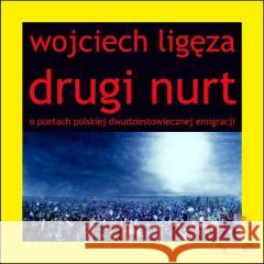 Drugi nurt Wojciech Ligęza 9788367460880 Forma - książka