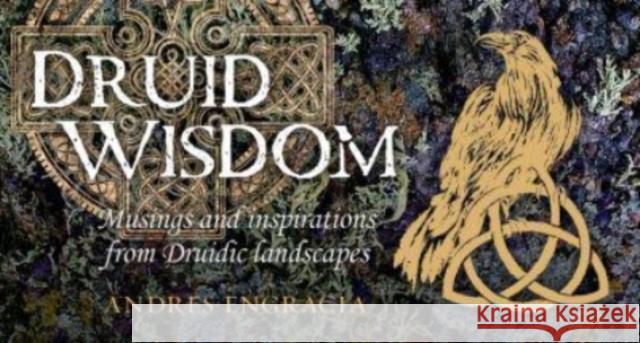 Druid Wisdom: 40 Full-Color Inspiration Cards Andres Engracia 9781922579454 Rockpool Publishing - książka