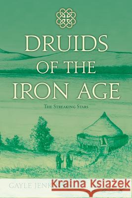 Druids of the Iron Age: The Streaking Stars Gayle Jenkins Glenn Roberts 9781978452862 Createspace Independent Publishing Platform - książka