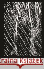 Drwal Michał Witkowski 9788384271964 Literanova - książka