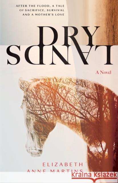 Dry Lands Elizabeth Anne Martins 9781787589056 Flame Tree Press - książka