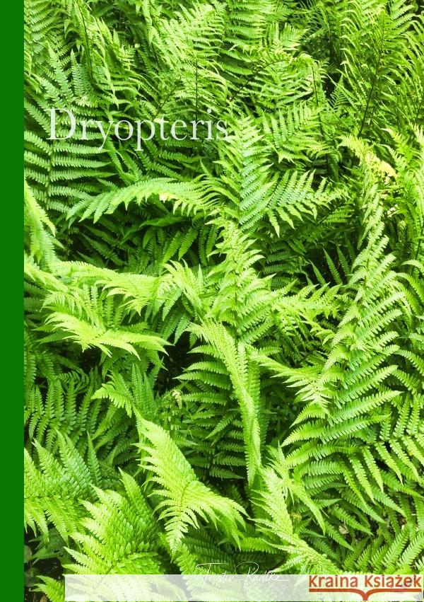 Dryopteris Radtke, Torsten 9783753129730 epubli - książka