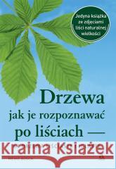 Drzewa jak je rozpoznawać po liściach Meike Bosch 9788324183241 Amber - książka