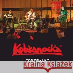 Drzewa. Koncert akustyczny CD  5906409118122 MTJ - książka