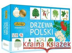 Drzewa Polski  5902410007882 Adamigo - książka