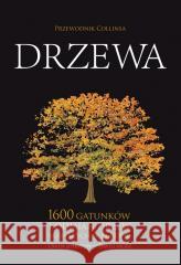 Drzewa. Przewodnik Collinsa Owen Johnson, David More 9788377636671 Multico - książka