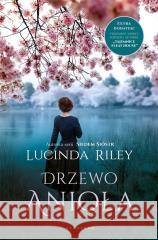 Drzewo Anioła Lucinda Riley 9788382159394 Albatros - książka