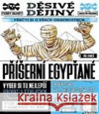 Děsivé dějiny: Příšerní Egypťané Terry Deary 9788027611249 Slovart - książka