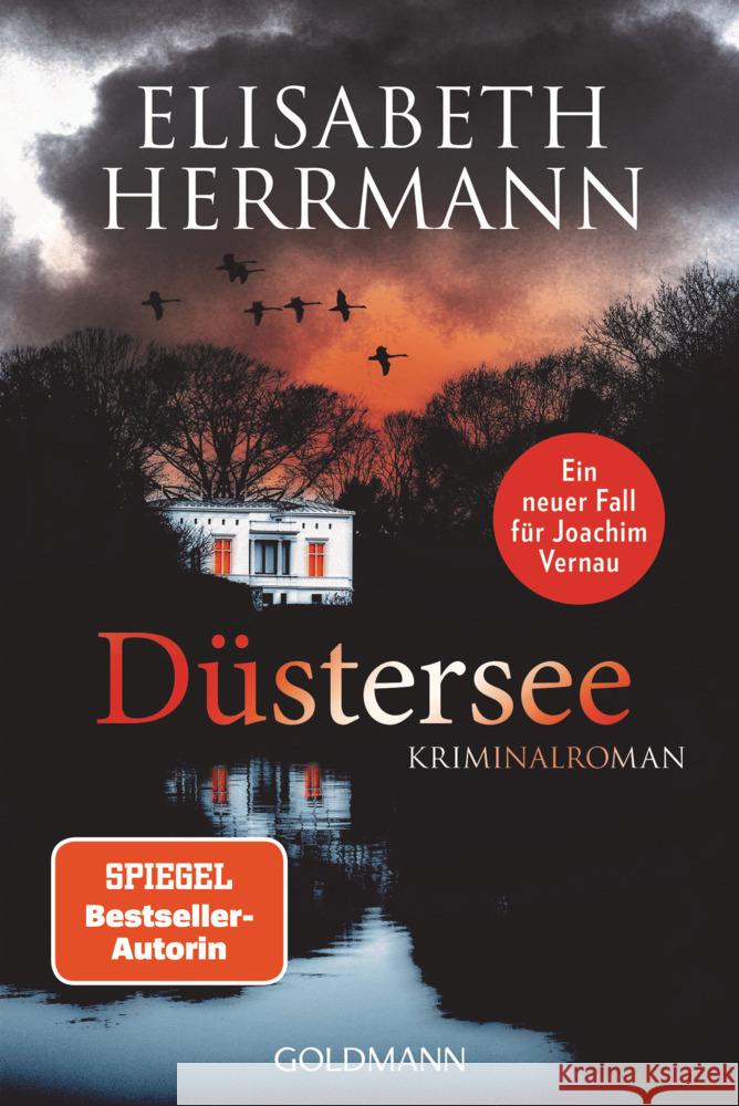 Düstersee Herrmann, Elisabeth 9783442492824 Goldmann - książka