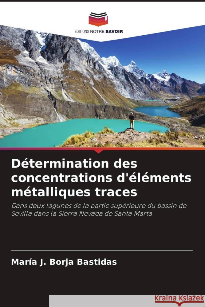 Détermination des concentrations d'éléments métalliques traces Borja Bastidas, María J. 9786204840192 Editions Notre Savoir - książka