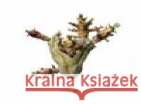 Děti  8595026646704 Indies - książka