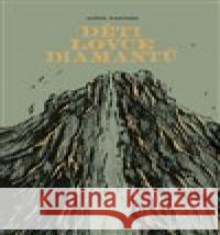 Děti lovce diamantů Luize Pastore 9788075151865 Baobab - książka