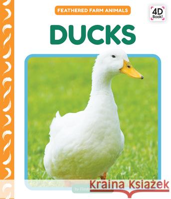 Ducks Elizabeth Andrews 9781098248543 Cody Koala - książka
