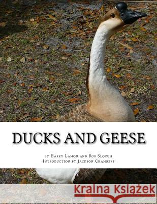 Ducks and Geese Harry Lamon Rob Slocum Jackson Chambers 9781539632917 Createspace Independent Publishing Platform - książka