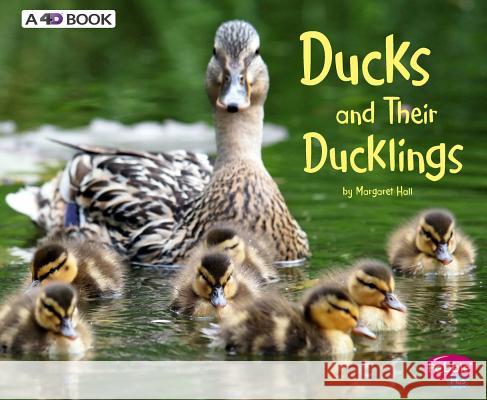 Ducks and Their Ducklings: A 4D Book Margaret Hall 9781543508352 Capstone Press - książka