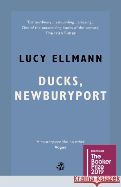 Ducks, Newburyport Lucy Ellmann 9781913111984 Galley Beggar Press - książka