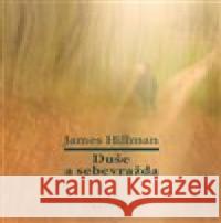 Duše a sebevražda James Hillman 9788075305350 Malvern - książka