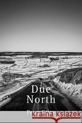 Due North Peter Riley 9781848613942 Shearsman Books - książka