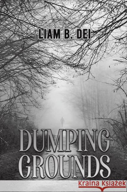 Dumping Grounds Liam B. Dei 9781528907835 Austin Macauley Publishers - książka