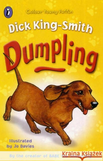 Dumpling Dick King-Smith 9780141312972 Penguin Random House Children's UK - książka