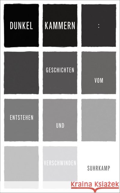 Dunkelkammern : Geschichten vom Entstehen und Verschwinden  9783518470725 Suhrkamp - książka
