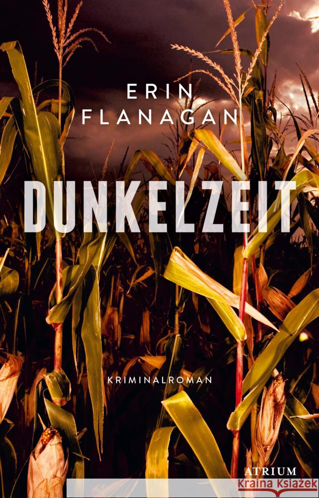 Dunkelzeit Flanagan, Erin 9783855351459 Atrium Verlag - książka