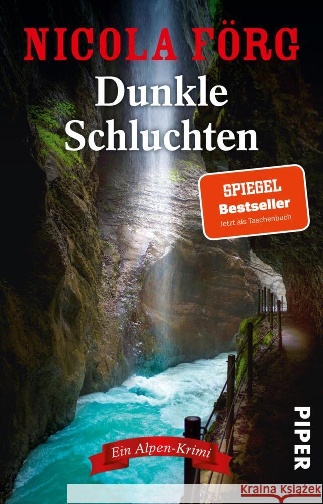 Dunkle Schluchten Förg, Nicola 9783492321549 Piper - książka