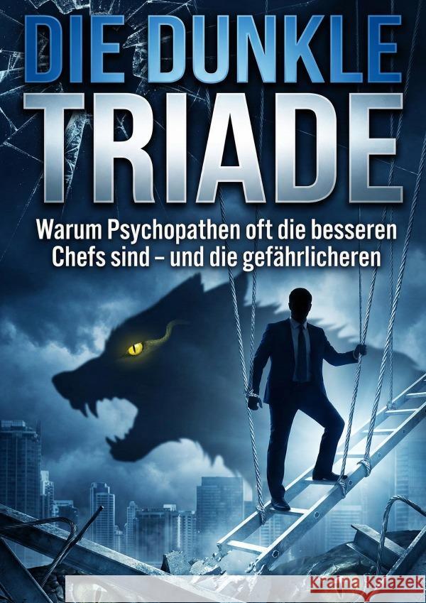 Dunkle Triade Fleischer, Hanno 9783565256488 epubli - książka