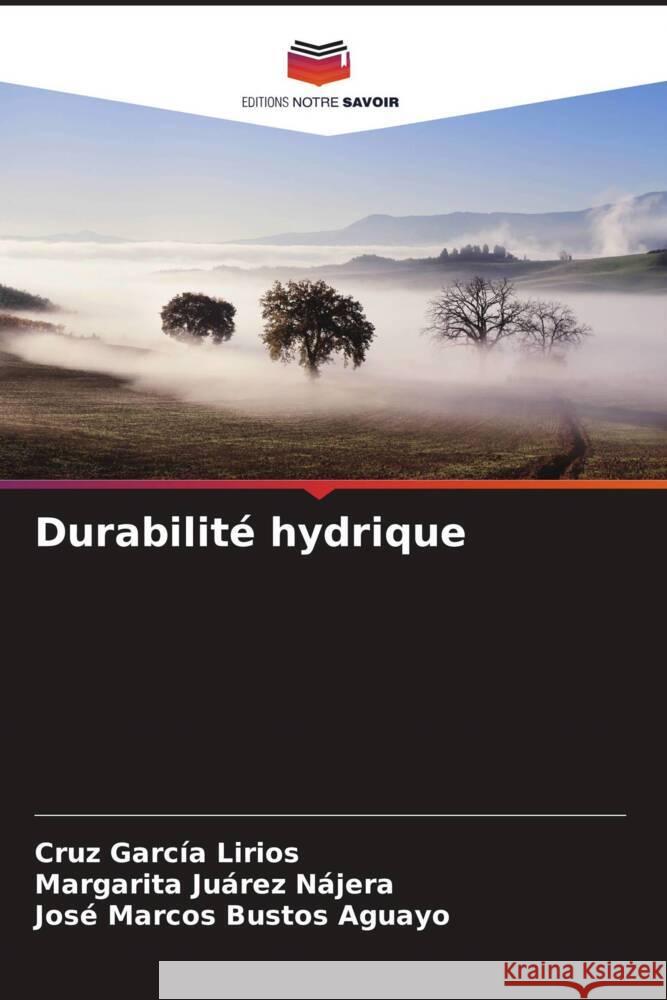 Durabilité hydrique García Lirios, Cruz, Juárez Nájera, Margarita, Bustos Aguayo, José Marcos 9786204994529 Editions Notre Savoir - książka