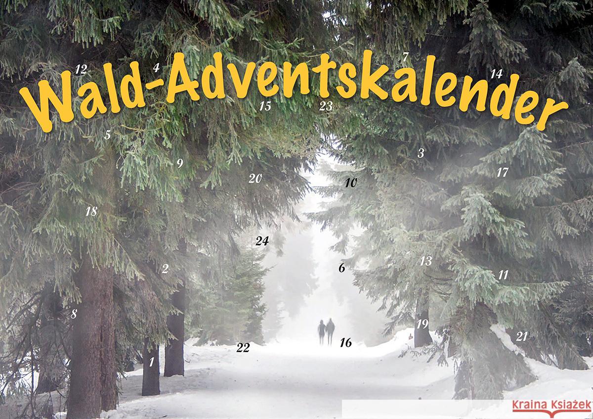 Durch den Wald im Advent  9783967170528 Husum - książka