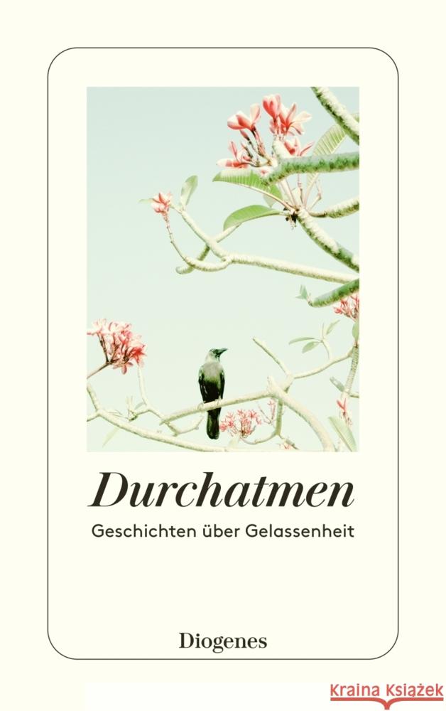 Durchatmen Diverse Autoren 9783257247237 Diogenes - książka