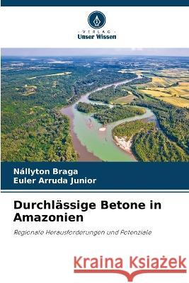 Durchlassige Betone in Amazonien Nallyton Braga Euler Arruda Junior  9786206027591 Verlag Unser Wissen - książka