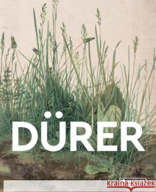 Durer: Masters of Art Florian Heine 9783791377551 Prestel Publishing - książka