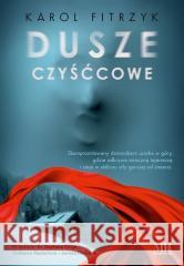 Dusze czyśćcowe Fitrzyk Karol 9788382904505 WasPos - książka