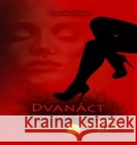 Dvanáct Temných panen a dvanáctero Sluncí Veronika Zikanová 9788090648302 Betaax - książka