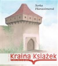 Dvanáct plamenů Soňa Harasimová 9788074754999 Čas - książka