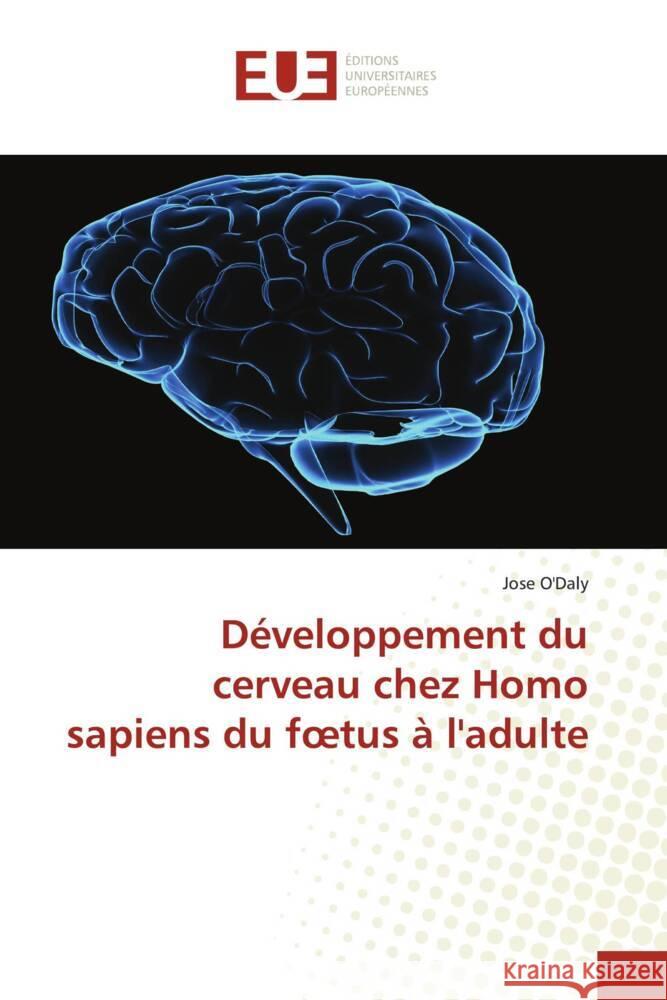 Développement du cerveau chez Homo sapiens du foetus à l'adulte O'Daly, Jose 9786139555000 Éditions universitaires européennes - książka