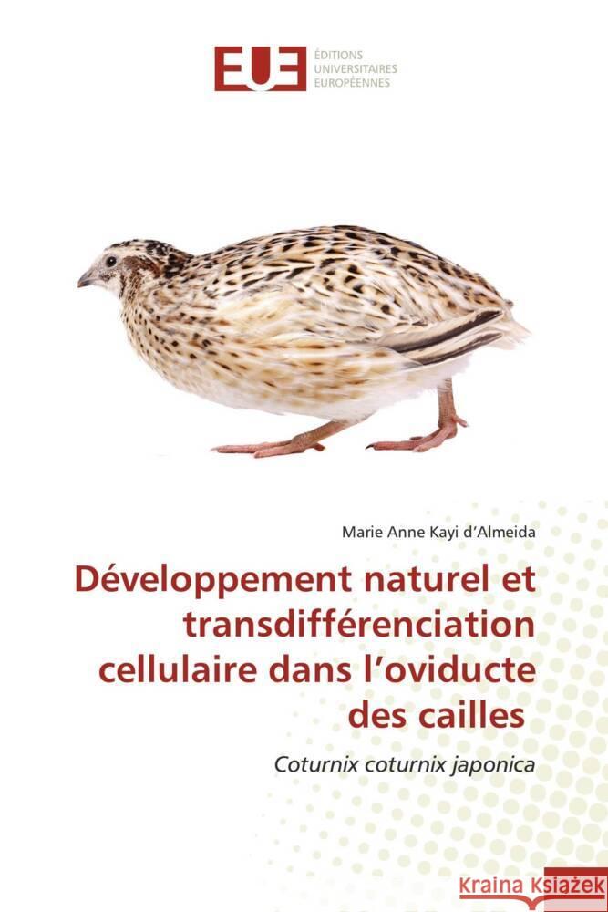 Développement naturel et transdifférenciation cellulaire dans l'oviducte des cailles d'Almeida, Marie Anne Kayi 9786203427844 Éditions universitaires européennes - książka