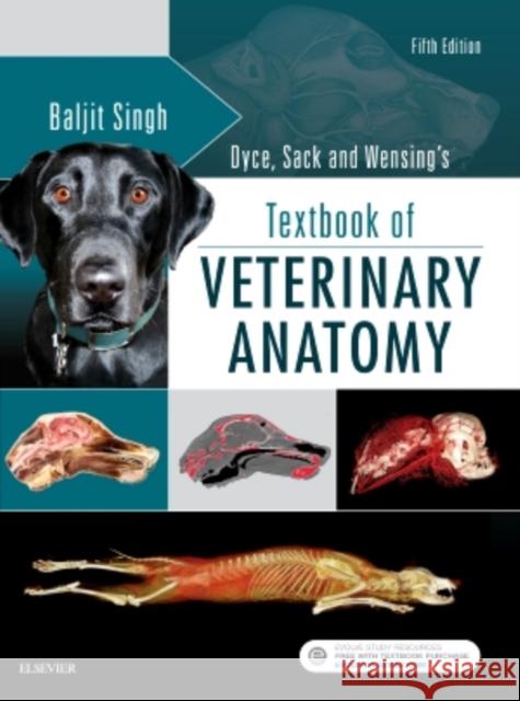 Dyce, Sack, and Wensing's Textbook of Veterinary Anatomy Singh, Baljit 9780323442640 Elsevier - Health Sciences Division - książka