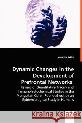 Dynamic Changes in the Development of Prefrontal Networks Veronica Witte 9783639022360 VDM VERLAG DR. MULLER AKTIENGESELLSCHAFT & CO - książka