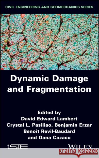 Dynamic Damage and Fragmentation  9781786304087 Wiley-Iste - książka